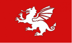 English White Dragon Flags